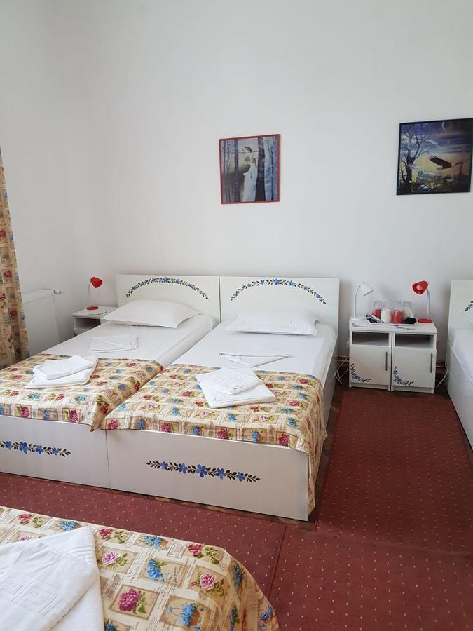 Pensiunea Geostar 2 Curtea de Argeş Exteriér fotografie