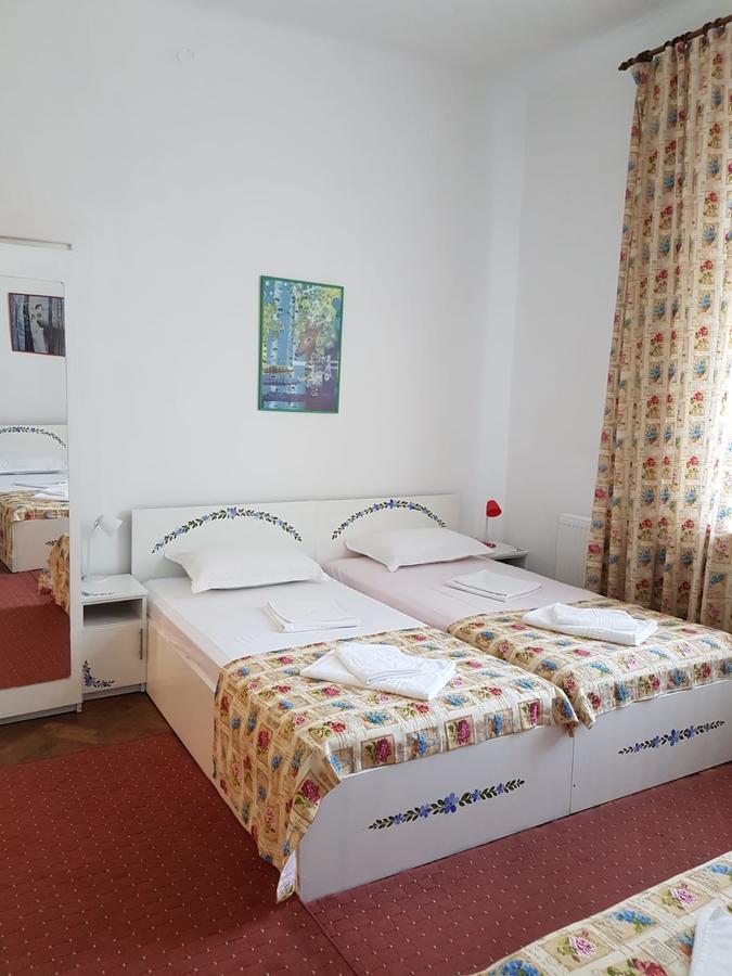Pensiunea Geostar 2 Curtea de Argeş Exteriér fotografie