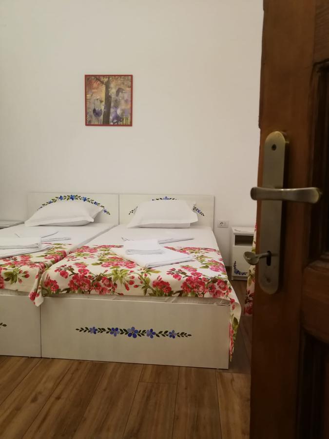 Pensiunea Geostar 2 Curtea de Argeş Exteriér fotografie